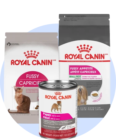 Fussy Appetite Royal Canin