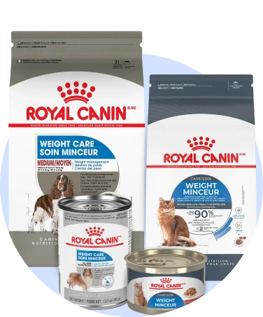 Weight Control Royal Canin