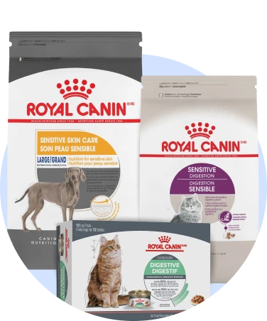 Sensitive Digestion Royal Canin