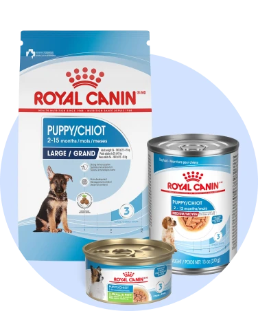 Puppy Food Royal Canin