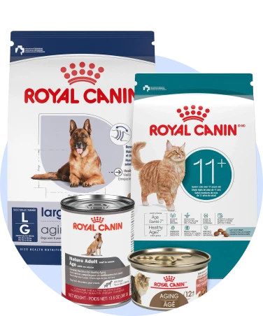 Senior Food Royal Canin