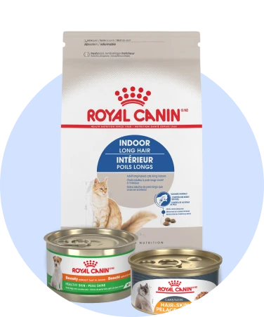 Skin and Coat Royal Canin