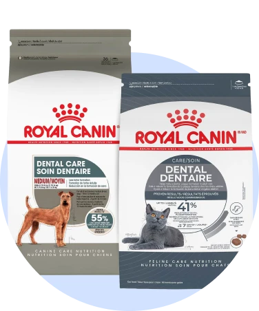 Dental Care Royal Canin