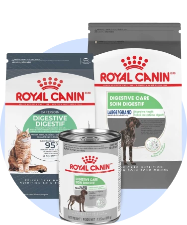 Digestive Care Royal Canin