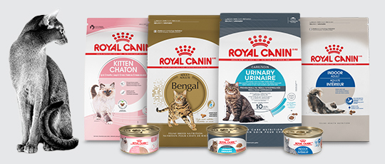 Nourritures pour chats Royal Canin