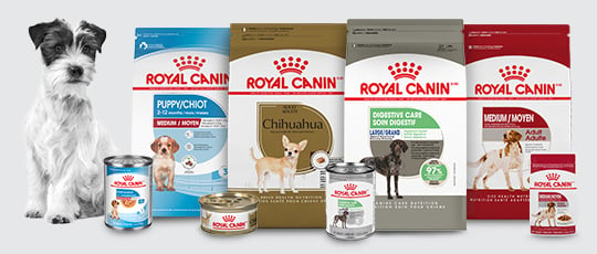 Nourritures pour chiens Royal Canin