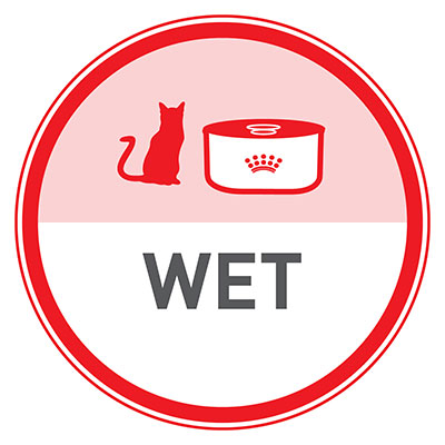 See wet food for cats.