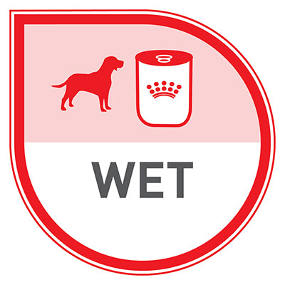 Wet food for dog.