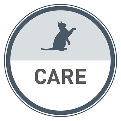 See cares products for cats.