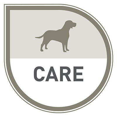 See care products for dog.