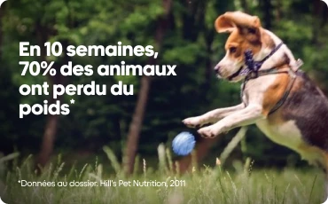 Hill's Science Diet