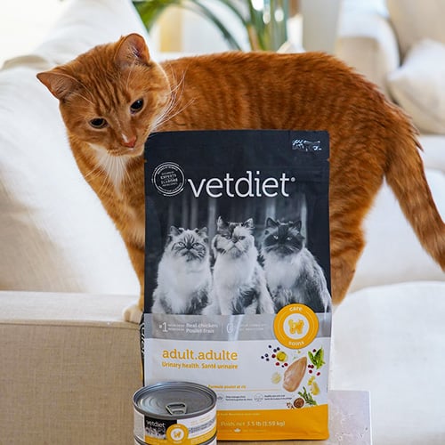 Vetdiet pour chat