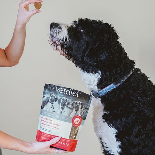 Vetdiet pour chien