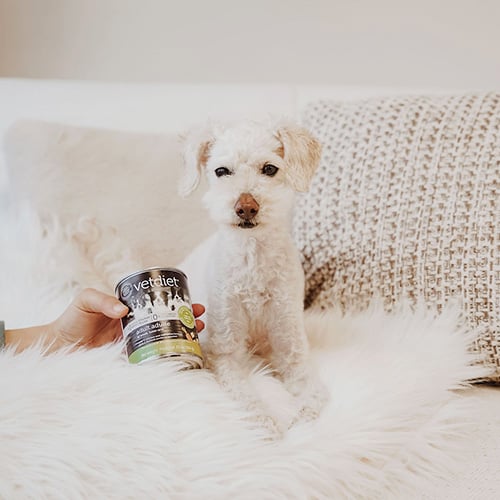 Vetdiet pour chiot