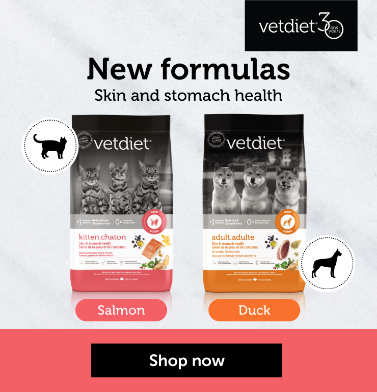 Shop the new Vetdiet formulas for skin and stomach health. 
                        
