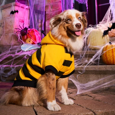 Costumes d'Halloween