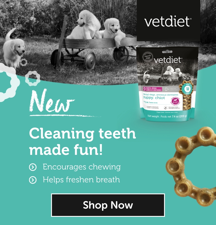 Découvrez les nouveaux anneaux dentaires Vetdiet