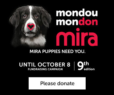 Mira puppies need your help. Donate until 8 October to the Mira Foundation fundraising campaign.