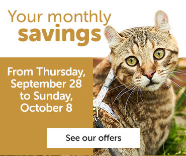 Your monthly savings flyer from September 28 to October 8, 2023. 