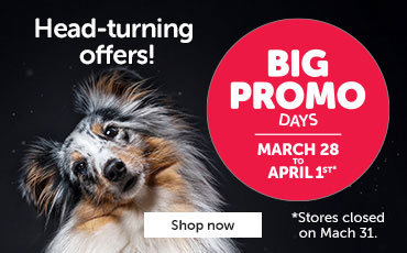 Big Promo Days from March 28 to April 1, 2024.