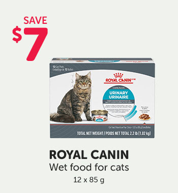 Save $7 on a case (12x85g) of Royal Canin wet food for cats.