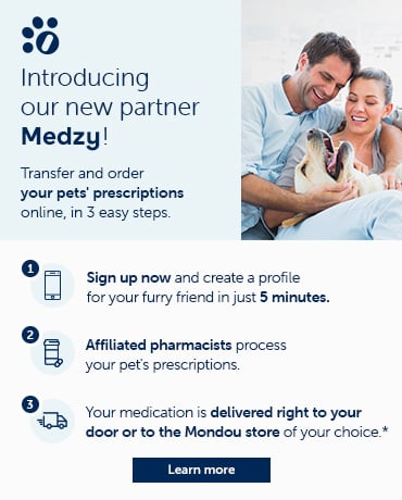 Introducing our new partner Medzy - Transfer and order your pets prescriptions online in 3 easy steps. Learn more. 