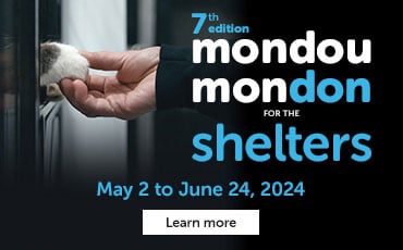 7th Edition Mondou Mondon for Shelters