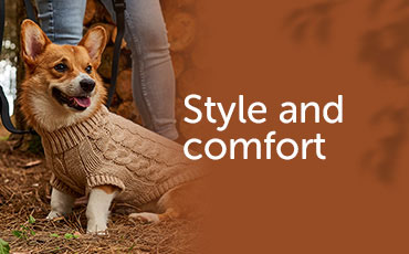 Easing Back into the fall Confort