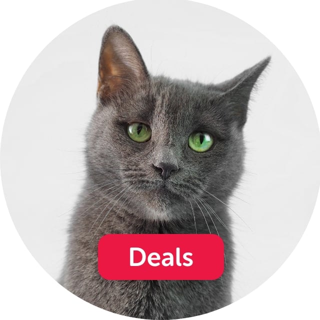 Cat Deals