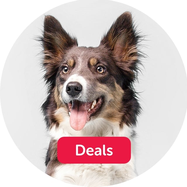 Dog Deals