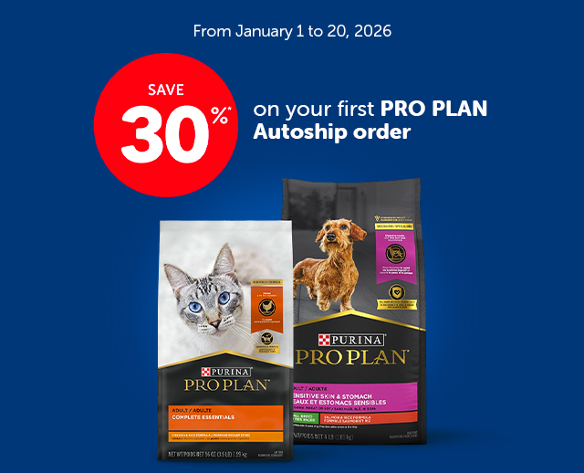 Save 30% - Pro Plan