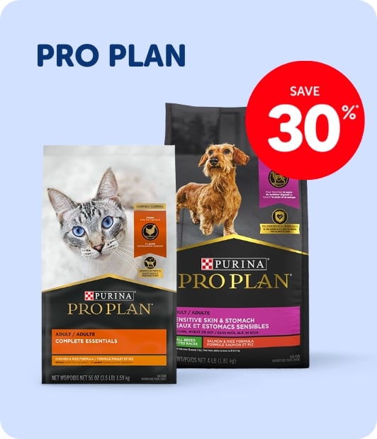 Save 30% - Pro Plan