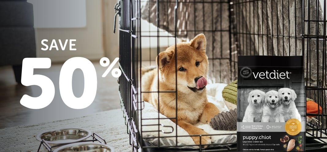 ConTour/ Ovation/ Pawtek