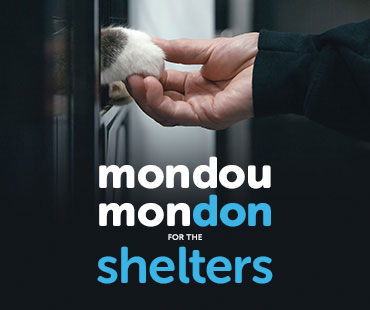 Mondou Mondon for the shelters | Give to offer them a second chance