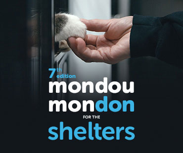 7th edition of Mondou Mondon for the shelters