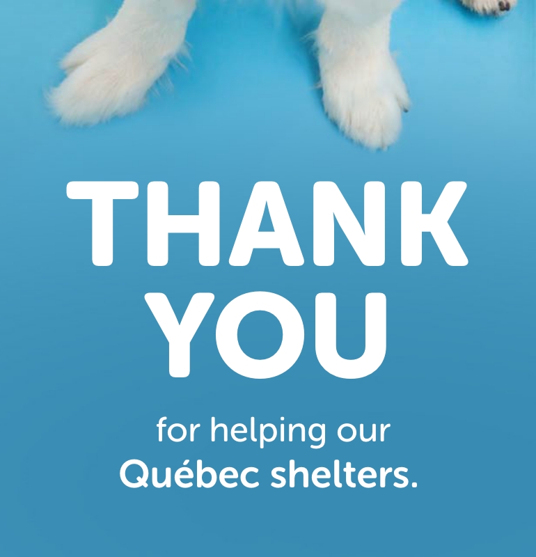Thank you for helping our Québec shelters.