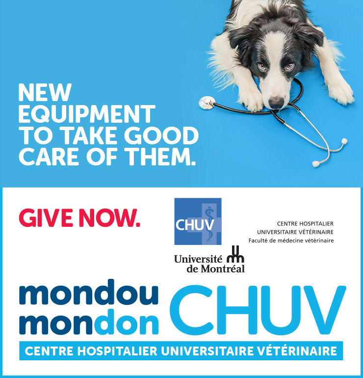 Mondou Mondon for the CHUV | New equipment to take good care of them