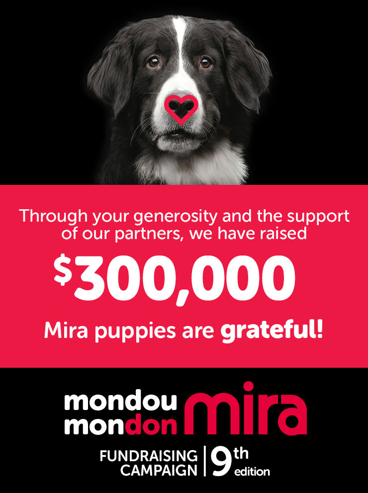 Mondou is proud to announced that we have raised $300,00 to Mira Fondation