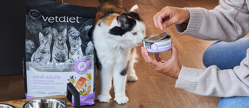 Les Produits du Québec have landed at Mondou