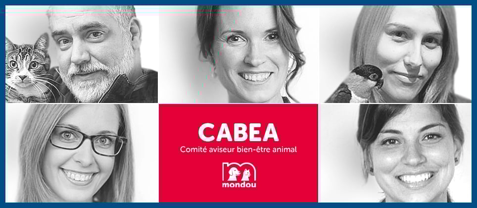 What is Mondou&rsquo;s CABEA?