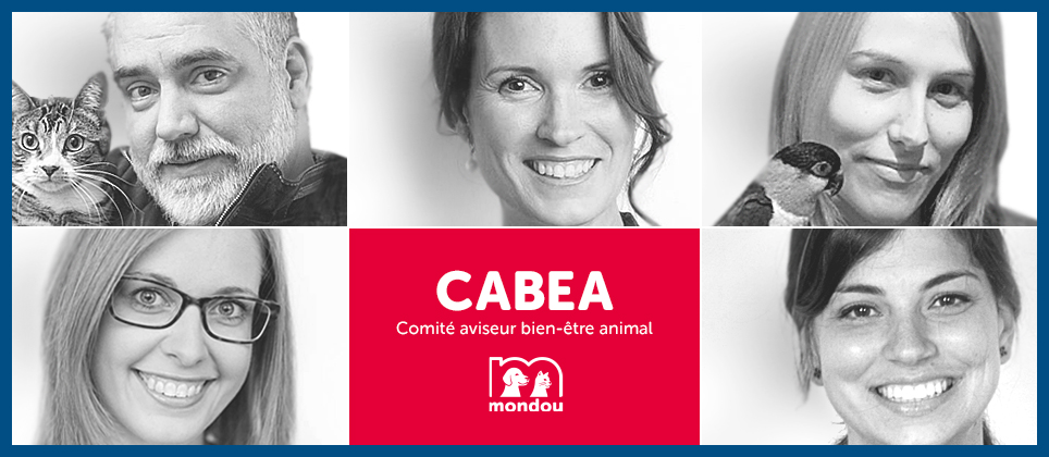What is Mondou&rsquo;s CABEA?