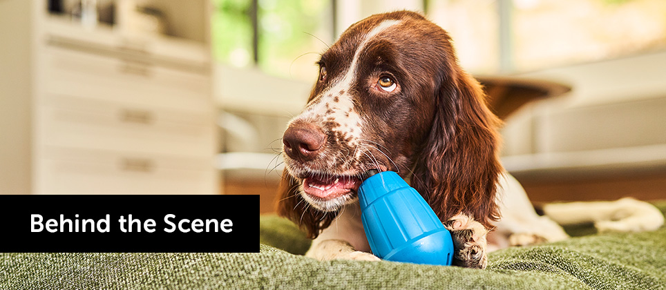 Mondou and Les Produits du Qu&eacute;bec: Nearly 1,000 certified products for your pets