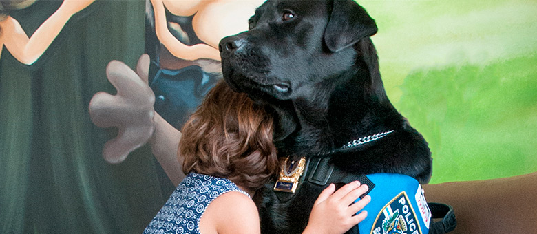 Découvrez en quoi consiste le travail de Kanak, chien de soutien émotionnel