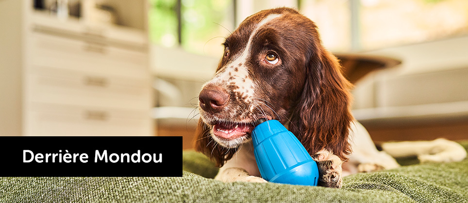 Mondou et Les Produits du Québec : près de 1000 produits certifiés pour vos compagnons