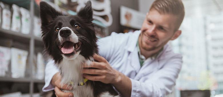 Connaissez-vous l&rsquo;ost&eacute;opathie animale?