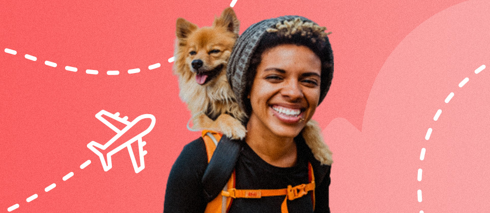 Voyager avec son chien : des conseils pour une exp&eacute;rience r&eacute;ussie