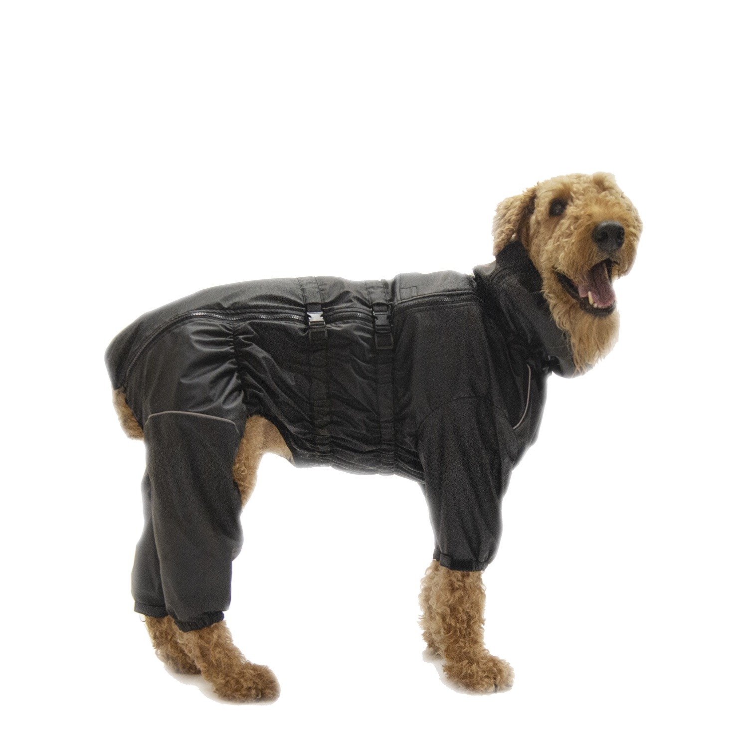 Full Body Winter Suit for Dogs Pawtek NOR Mondou