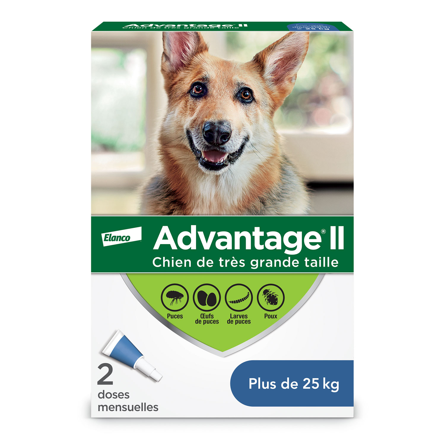 Topical Flea and Lice Protection for Dog 25+ kg, pack Advantage