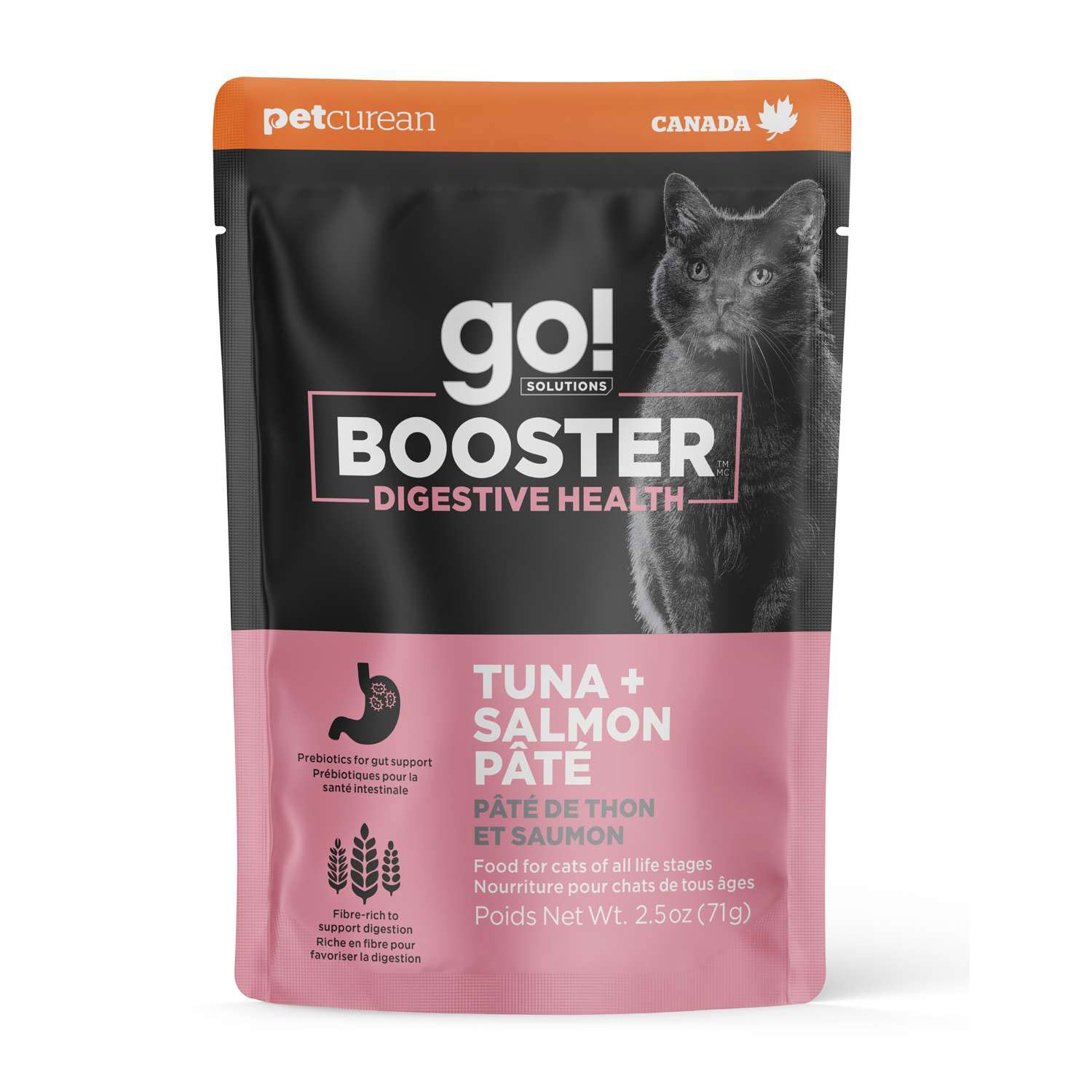 Cat Gut Health: Boost Your Feline's Wellbeing