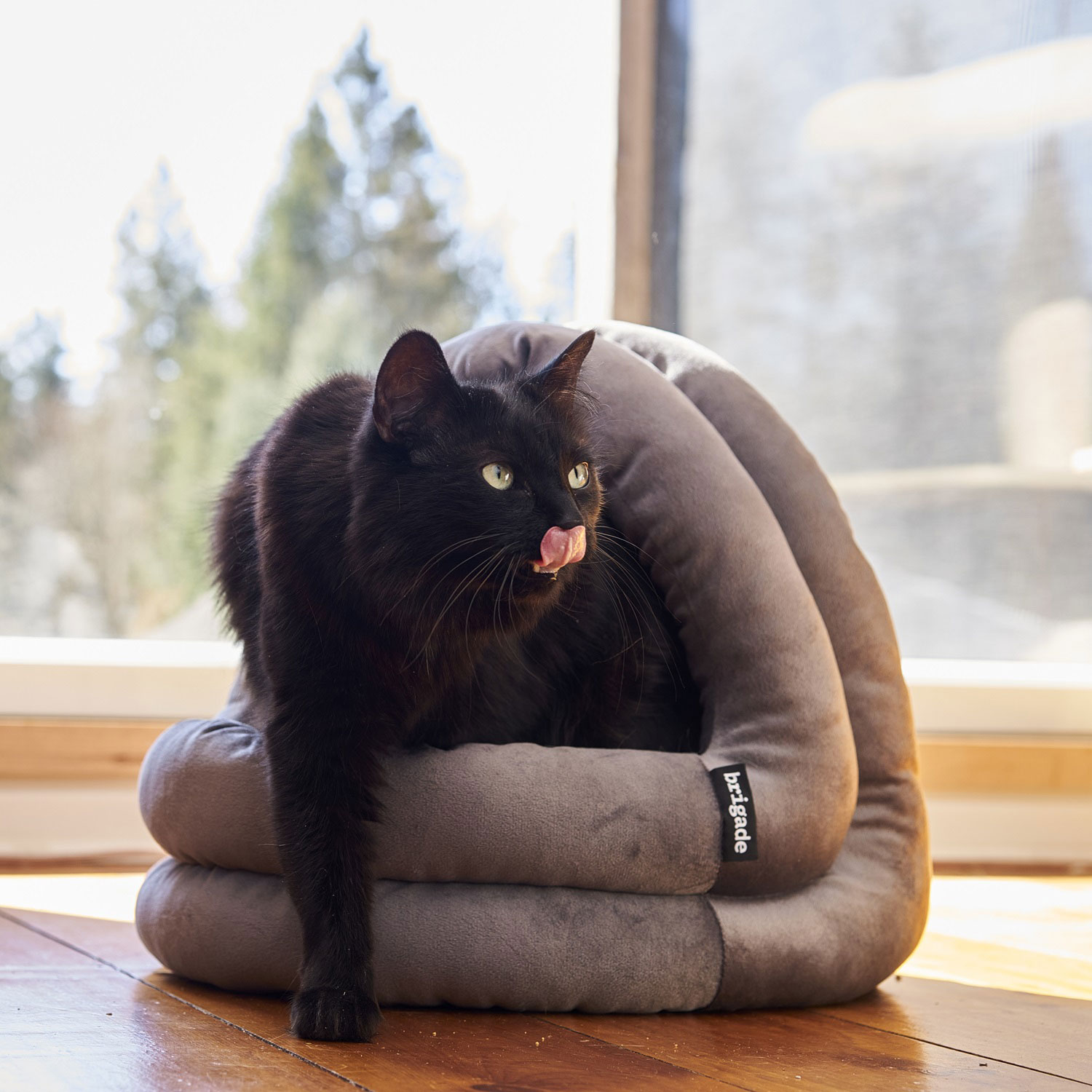 Puffy Hideout Brigade | Mondou